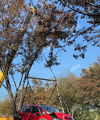 ͻ����ײ���ˣ�������ͷ���ˣ�