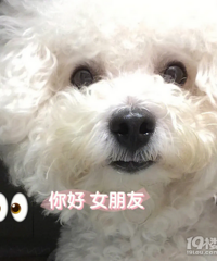 身高181的88年男士找不抽烟无纹身女士