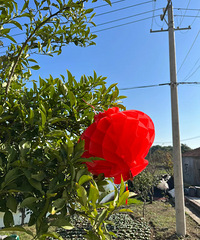 Ժ�����кö��� ����ÿ�����϶����˵��� �����ĺ�ϲ��