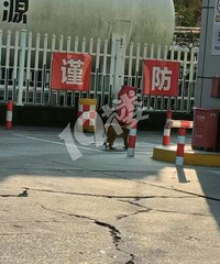�����������ô�һֻ��Ż������ˡ�