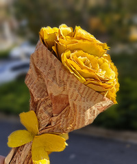 ���������Ĵ�Ƭ