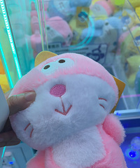 ����ä�и����쵽����22����ץ��2�����ޣ��ڴ��ڶ���������