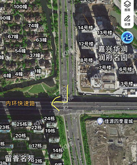 早上在这里差点撞了个人!路边树丛出来个人根本防不胜防啊…