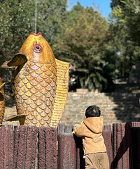 ͩȻôũׯС𳵡СˮȻ