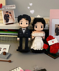 ���ѽ�����ѧ���Ͷ��ƻ�ľ��ֱ�������ֳ���