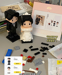 ���ѽ�����ѧ���Ͷ��ƻ�ľ��������ľ���һ������ʵ��