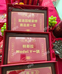 陪嫁两套学区房+128万支票+1辆特斯拉+两块金砖在嘉兴算啥水平?