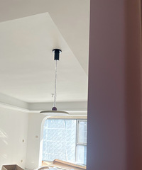 ֲȿˣ뻧ƺͳľȻûֿƣ