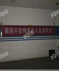 “遛狗不捡狗屎的人全家死光!”在地下停车场看到一个恶毒诅咒…