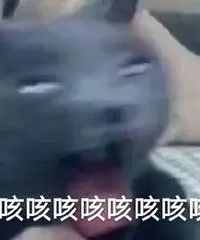 咳了4天4夜!止咳药水完全没用,一直到吃了…