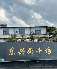 ��ϲ��������ţ��