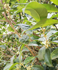 ���콵�º���Ҳû���������ô�䣡���޶�������...