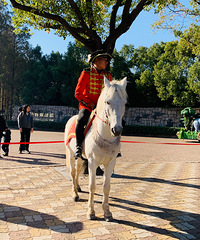 �Ϻ��Ķ���԰̫����