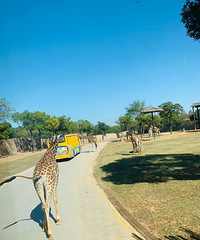 ֵ�ö�ˢ�Ķ���԰��С������Ĳ����ֺ�  ���˲��ټ�ʶ��