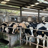 ��ϲ��������ţ��