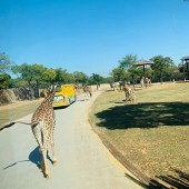 �Ϻ��Ķ���԰̫����