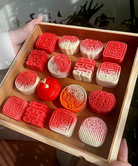 ������ʽ��� ���ϲ�죡���԰��ڼ��ﵱ���