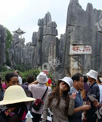 其实有时一个人吃饭旅行,到处走走停停也不错