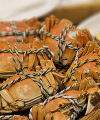 �𻪵���Ǩ��ϯҲ̫�����˰ɣ�