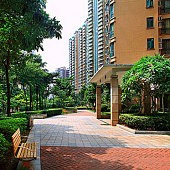 �����������Ϲ���֧��