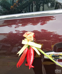 ˮ����鳵װ�� �������ô����