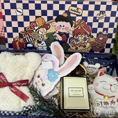 ���ÿ��İ������