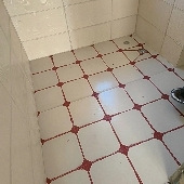 ����������ʲô������