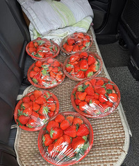 ���ڵĲ�ݮ��ȫ��