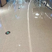 �̳������춼��������