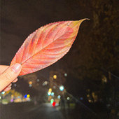 ��Ԫ�����һؼҵ�ô��