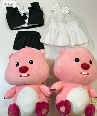 �������ҵ�ѹ�����ޣ�Сloopy�ٴ��ϻ�ɴС�����С��װ