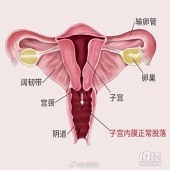 ������������ʹ����