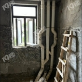 Ϊ���Ҳ�������Ů����