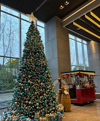 ����������˹�����Ϲ�������ı���Ҳ�û�����˹�����б�Ҫ��