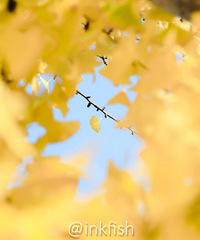 �ͳ������Ѿ�����ܳ��ż�¼����Ҷ �ڼҰ�������Ҳ����㰮����