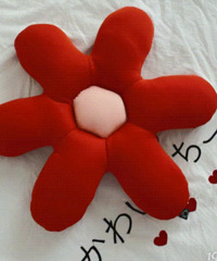 ���������� ��Щ�Լ�ϲ����С����