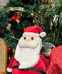 ʥ����Χ�����������˹���ѩ��