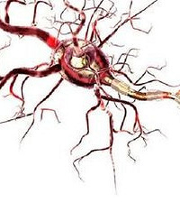 10�꺢�Ӽ���������� ÿ��ͷʹˮ��� �������� ��զ��