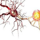 ��ͯ�������ô���ƣ�