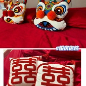 ����ɹ�����������