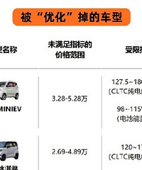 �Ժ���Ҳ�򲻵��������΢�͵綯���ˣ���