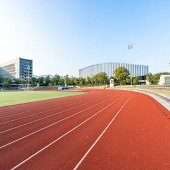 ��ѧ�����¿�����