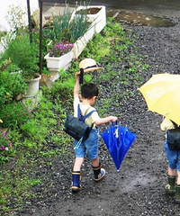 ��������ѧУ�ſڵĴ�³� ͻȻ�ܸп� ��Сʱ����·��