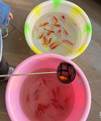 ��������û��ɶ�µ����Ǿ��ú��� ƣ���е��״Ӻζ�����