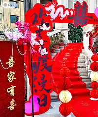 ���ű���������װ���ˣ�������������