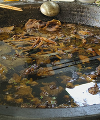 [���]ҧǿ������ζ�������������������ܾ���