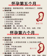 ����ÿ��ע�����һƪ��������ÿ����ʲô��