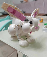 ���ڹ�����ԭ�� ������麢�ӵ�ʱ���ú��� ����������