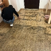 �����ķ��ӣ�