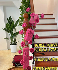 ���������������ٲ����̳�